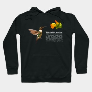 White-bellied woodstar hummingbird white text Hoodie